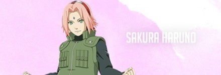 火影女忍者来一套[花心][嘻嘻]