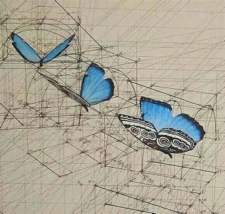 #大神#的跨界混搭[嘻嘻]
数学和艺术的完美结合Orz