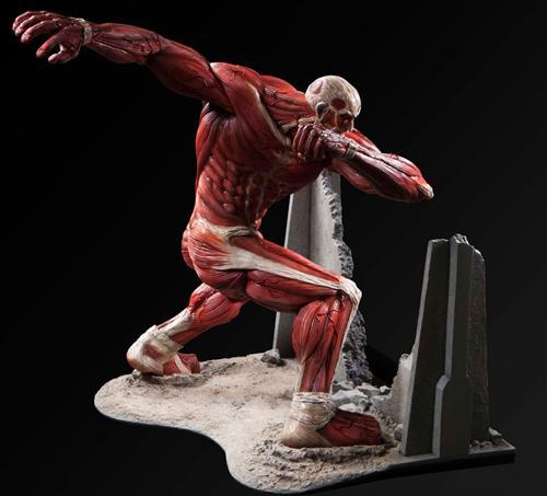 由日本Fragment制作，进击超大型巨人手办开放预订，全高56厘米，售价54000日元（约合人民币2869元），预计于12月正式发售。