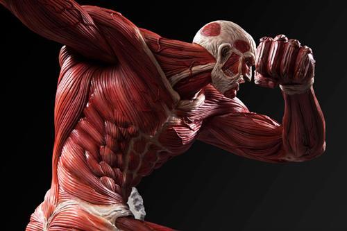 由日本Fragment制作，进击超大型巨人手办开放预订，全高56厘米，售价54000日元（约合人民币2869元），预计于12月正式发售。