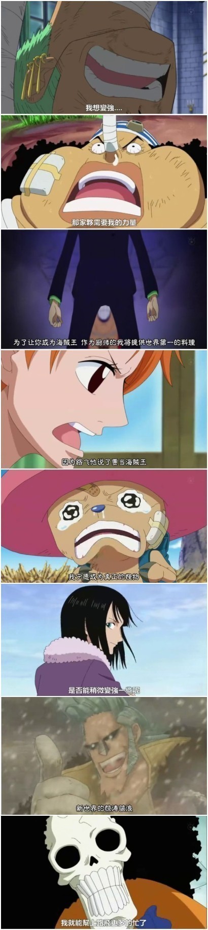 路飞，你从不是独自一人在奋斗，还有伙伴们在为你而努力！！！