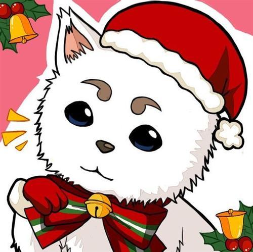 去年的图，将就下用吧，圣诞快乐，考闹呀路┳＿┳