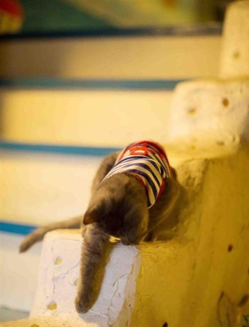 圣诞节即将到来，圣诞福利自然不能少。美少女玩家COS超级索尼子的性感图,清纯可爱加波涛汹涌，一定要Hold住呀，亲们