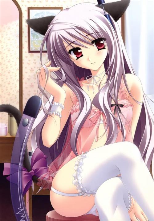 【一周福利】 （◕(ｪ)◕）白丝萝莉