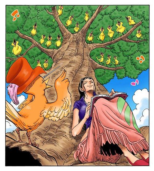 妮可.罗宾，来自西海奥哈拉的考古学家，花花果实能力者。最喜欢她说过的“我想活下去！”和“到目前为止这20年来，无论多么危险的状况，我之所以都能逃脱，是因为我没有想要保护的东西，所以能背叛别人，拿他们当挡箭牌，可是， 现在的我已经办不到了，真的办不到。大家给了我曾经舍弃的生命，挽救我曾经失去的心灵，也让我重新拥有原本已经没有希望的梦想，因为我现在拥有了一群这么信赖我的伙伴了。”