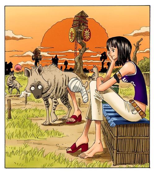 妮可.罗宾，来自西海奥哈拉的考古学家，花花果实能力者。最喜欢她说过的“我想活下去！”和“到目前为止这20年来，无论多么危险的状况，我之所以都能逃脱，是因为我没有想要保护的东西，所以能背叛别人，拿他们当挡箭牌，可是， 现在的我已经办不到了，真的办不到。大家给了我曾经舍弃的生命，挽救我曾经失去的心灵，也让我重新拥有原本已经没有希望的梦想，因为我现在拥有了一群这么信赖我的伙伴了。”