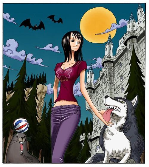 妮可.罗宾，来自西海奥哈拉的考古学家，花花果实能力者。最喜欢她说过的“我想活下去！”和“到目前为止这20年来，无论多么危险的状况，我之所以都能逃脱，是因为我没有想要保护的东西，所以能背叛别人，拿他们当挡箭牌，可是， 现在的我已经办不到了，真的办不到。大家给了我曾经舍弃的生命，挽救我曾经失去的心灵，也让我重新拥有原本已经没有希望的梦想，因为我现在拥有了一群这么信赖我的伙伴了。”