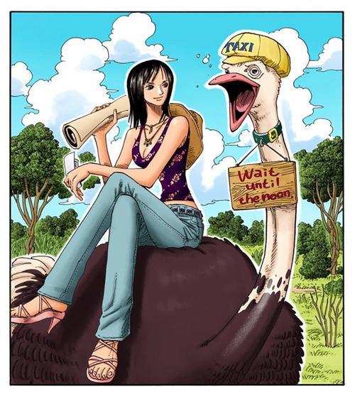 妮可.罗宾，来自西海奥哈拉的考古学家，花花果实能力者。最喜欢她说过的“我想活下去！”和“到目前为止这20年来，无论多么危险的状况，我之所以都能逃脱，是因为我没有想要保护的东西，所以能背叛别人，拿他们当挡箭牌，可是， 现在的我已经办不到了，真的办不到。大家给了我曾经舍弃的生命，挽救我曾经失去的心灵，也让我重新拥有原本已经没有希望的梦想，因为我现在拥有了一群这么信赖我的伙伴了。”