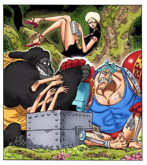 妮可.罗宾，来自西海奥哈拉的考古学家，花花果实能力者。最喜欢她说过的“我想活下去！”和“到目前为止这20年来，无论多么危险的状况，我之所以都能逃脱，是因为我没有想要保护的东西，所以能背叛别人，拿他们当挡箭牌，可是， 现在的我已经办不到了，真的办不到。大家给了我曾经舍弃的生命，挽救我曾经失去的心灵，也让我重新拥有原本已经没有希望的梦想，因为我现在拥有了一群这么信赖我的伙伴了。”