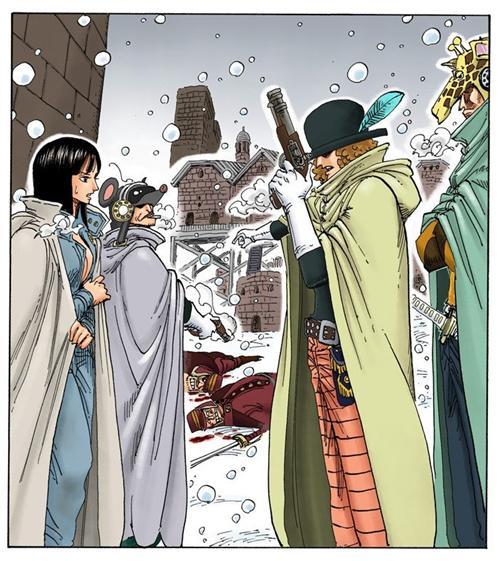 妮可.罗宾，来自西海奥哈拉的考古学家，花花果实能力者。最喜欢她说过的“我想活下去！”和“到目前为止这20年来，无论多么危险的状况，我之所以都能逃脱，是因为我没有想要保护的东西，所以能背叛别人，拿他们当挡箭牌，可是， 现在的我已经办不到了，真的办不到。大家给了我曾经舍弃的生命，挽救我曾经失去的心灵，也让我重新拥有原本已经没有希望的梦想，因为我现在拥有了一群这么信赖我的伙伴了。”