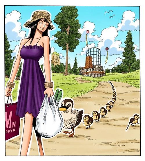 妮可.罗宾，来自西海奥哈拉的考古学家，花花果实能力者。最喜欢她说过的“我想活下去！”和“到目前为止这20年来，无论多么危险的状况，我之所以都能逃脱，是因为我没有想要保护的东西，所以能背叛别人，拿他们当挡箭牌，可是， 现在的我已经办不到了，真的办不到。大家给了我曾经舍弃的生命，挽救我曾经失去的心灵，也让我重新拥有原本已经没有希望的梦想，因为我现在拥有了一群这么信赖我的伙伴了。”