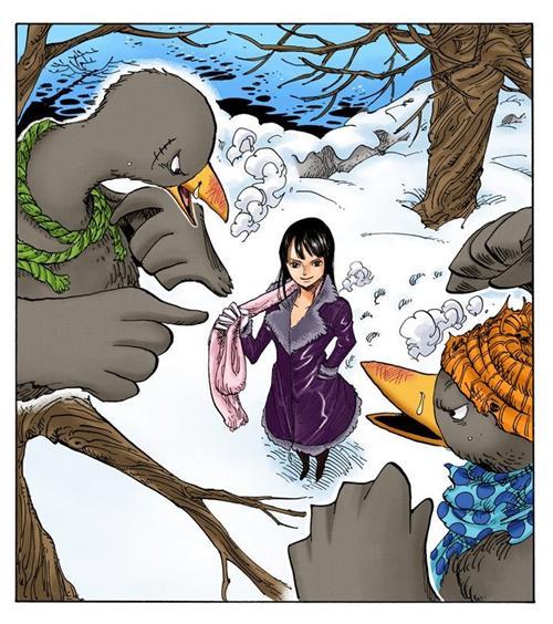 妮可.罗宾，来自西海奥哈拉的考古学家，花花果实能力者。最喜欢她说过的“我想活下去！”和“到目前为止这20年来，无论多么危险的状况，我之所以都能逃脱，是因为我没有想要保护的东西，所以能背叛别人，拿他们当挡箭牌，可是， 现在的我已经办不到了，真的办不到。大家给了我曾经舍弃的生命，挽救我曾经失去的心灵，也让我重新拥有原本已经没有希望的梦想，因为我现在拥有了一群这么信赖我的伙伴了。”