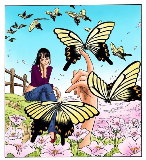 妮可.罗宾，来自西海奥哈拉的考古学家，花花果实能力者。最喜欢她说过的“我想活下去！”和“到目前为止这20年来，无论多么危险的状况，我之所以都能逃脱，是因为我没有想要保护的东西，所以能背叛别人，拿他们当挡箭牌，可是， 现在的我已经办不到了，真的办不到。大家给了我曾经舍弃的生命，挽救我曾经失去的心灵，也让我重新拥有原本已经没有希望的梦想，因为我现在拥有了一群这么信赖我的伙伴了。”