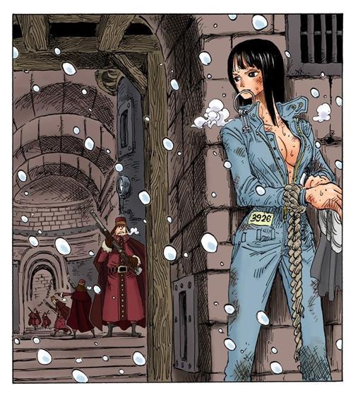 妮可.罗宾，来自西海奥哈拉的考古学家，花花果实能力者。最喜欢她说过的“我想活下去！”和“到目前为止这20年来，无论多么危险的状况，我之所以都能逃脱，是因为我没有想要保护的东西，所以能背叛别人，拿他们当挡箭牌，可是， 现在的我已经办不到了，真的办不到。大家给了我曾经舍弃的生命，挽救我曾经失去的心灵，也让我重新拥有原本已经没有希望的梦想，因为我现在拥有了一群这么信赖我的伙伴了。”