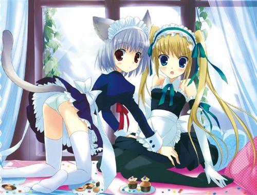 【女仆主题】第四弹 周末福利 好久不见 (⊙x⊙;)[花心](✿✪‿✪｡)ﾉ，同时也祝大家新年快乐↖(￣▽￣")