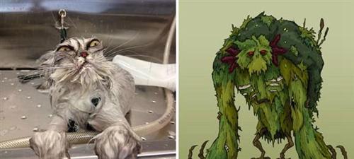 喵星人的逗比Cosplay! 难道它们早已占领了世界？[晕]