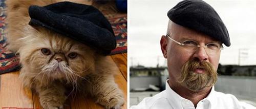 喵星人的逗比Cosplay! 难道它们早已占领了世界？[晕]