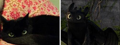 喵星人的逗比Cosplay! 难道它们早已占领了世界？[晕]