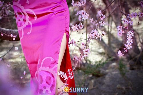 【桑尼社】海贼王--波雅·汉库克Cosplay，美翻了[花心] [花心][花心]“无论妾身做错什么事情都会被原谅，因为妾身实在是太美了！” http://weibo.com/5090754263/BED9jlb9R