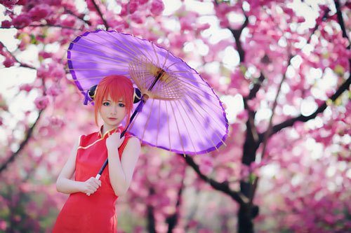 【神还原】银魂神乐可爱霸气Cosplay,美爆！[花心](✿✪‿✪｡)ﾉ