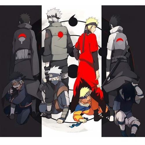 分享图片这次也是