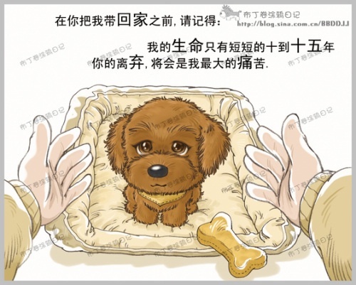 新的一年到了，不要离弃它们。