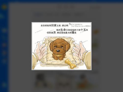 新的一年到了，不要离弃它们。