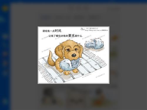 新的一年到了，不要离弃它们。