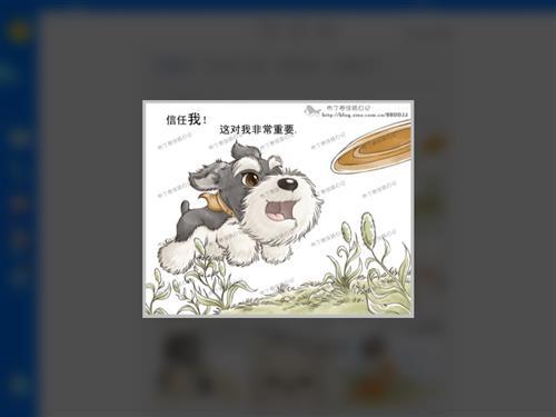 新的一年到了，不要离弃它们。