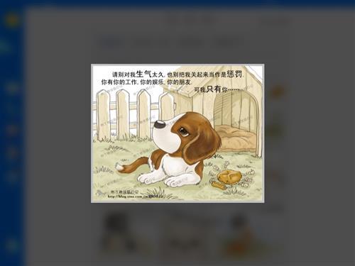 新的一年到了，不要离弃它们。