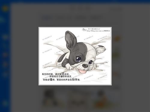 新的一年到了，不要离弃它们。