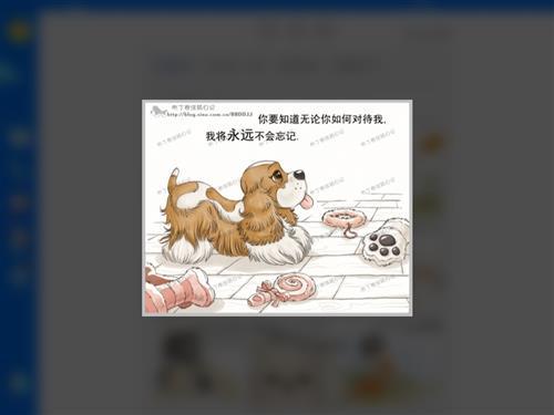 新的一年到了，不要离弃它们。