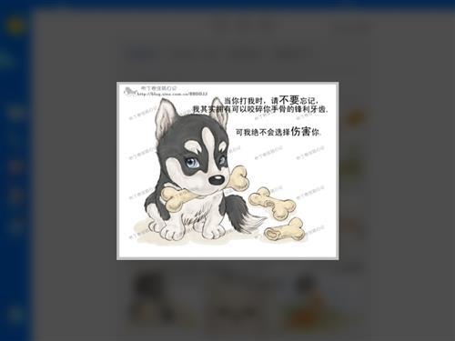 新的一年到了，不要离弃它们。