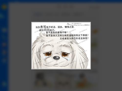 新的一年到了，不要离弃它们。