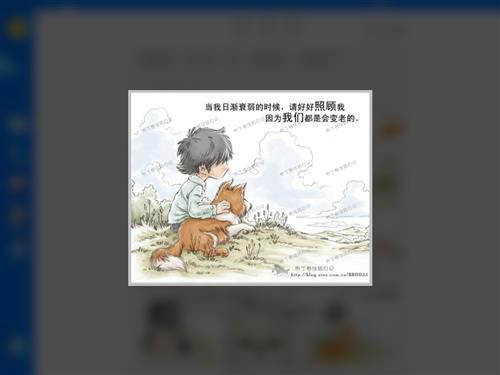 新的一年到了，不要离弃它们。