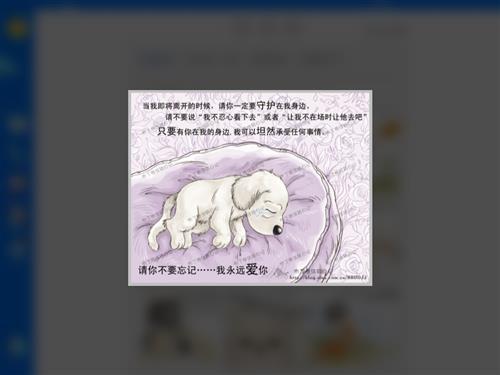 新的一年到了，不要离弃它们。