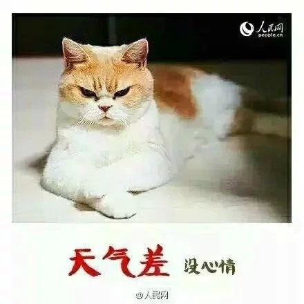 起不来床