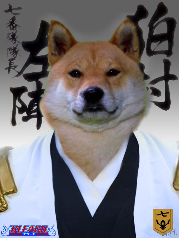 死神Cosplay之大杀器[吃惊]