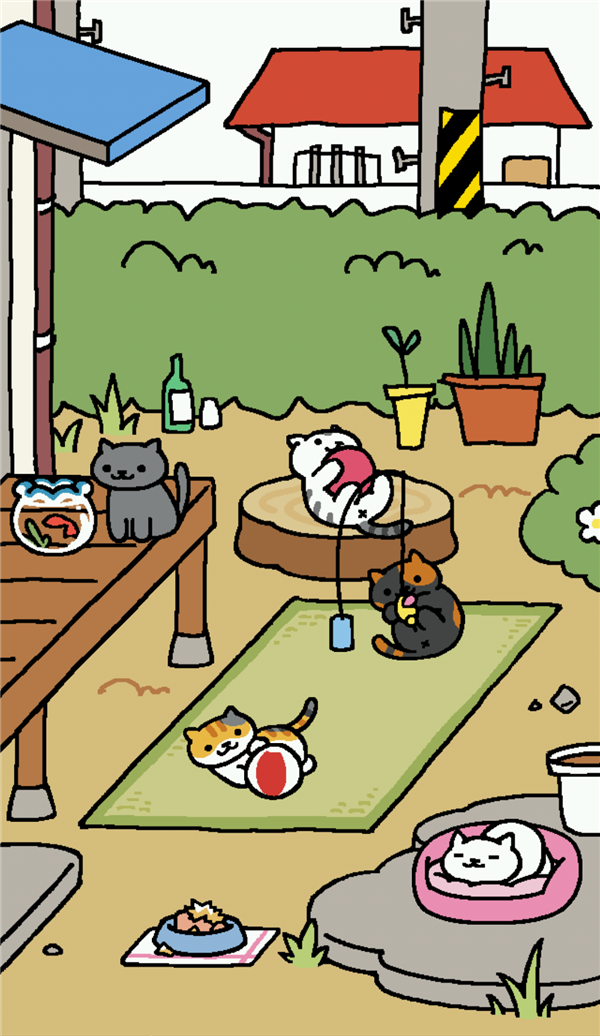 推荐你们玩 猫咪后院  治愈系养成~~