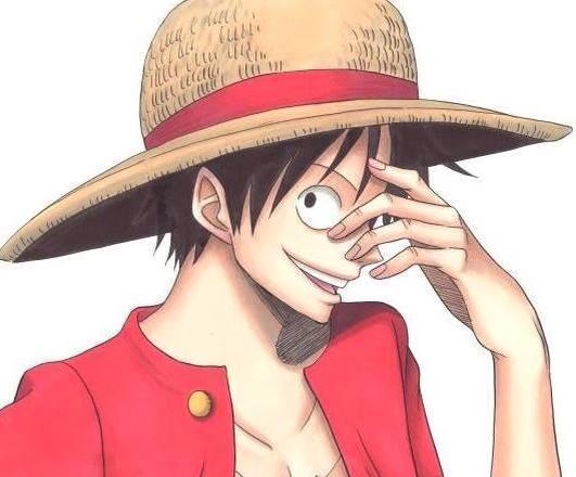 喜欢路飞的笑 再大的困难也要乐观的坚持下去 因为我们是看过海贼王的男人