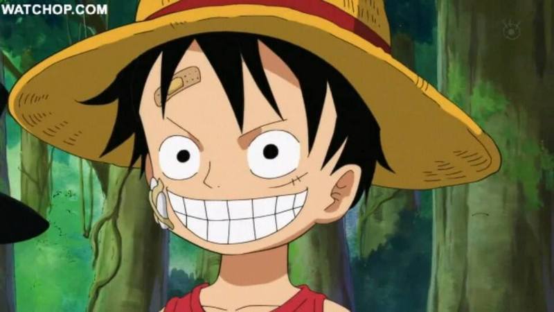 喜欢路飞的笑 再大的困难也要乐观的坚持下去 因为我们是看过海贼王的男人