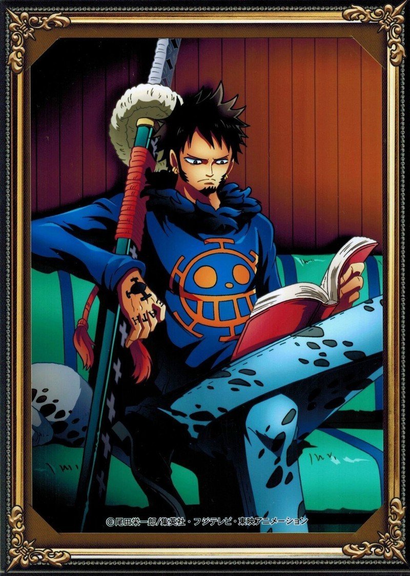 从庞克哈萨德到德雷斯罗萨。两年来，罗的官图文件夹合集。