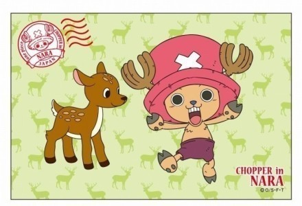 乔巴生活萌图，有没有萌到你呢