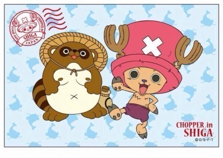 乔巴生活萌图，有没有萌到你呢