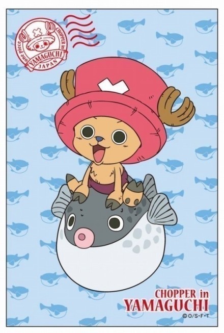 乔巴生活萌图，有没有萌到你呢