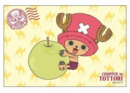 乔巴生活萌图，有没有萌到你呢