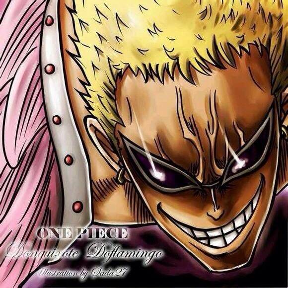  珍藏版 七武海精美图片