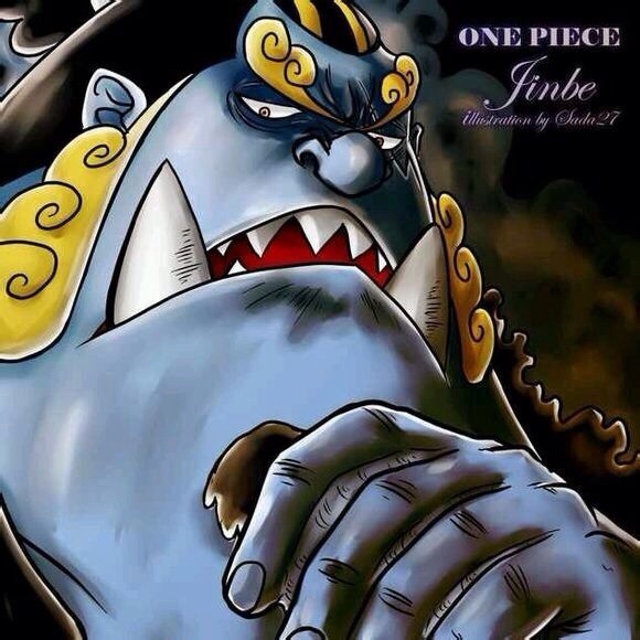  珍藏版 七武海精美图片