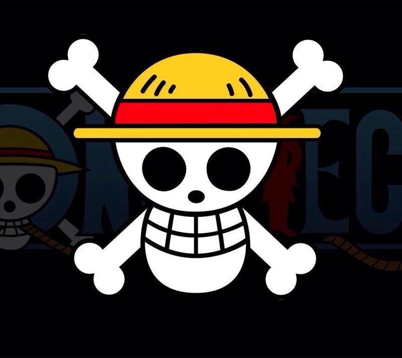 海贼王船员骷髅标志长图哦 具有收藏意义 还可以做头像