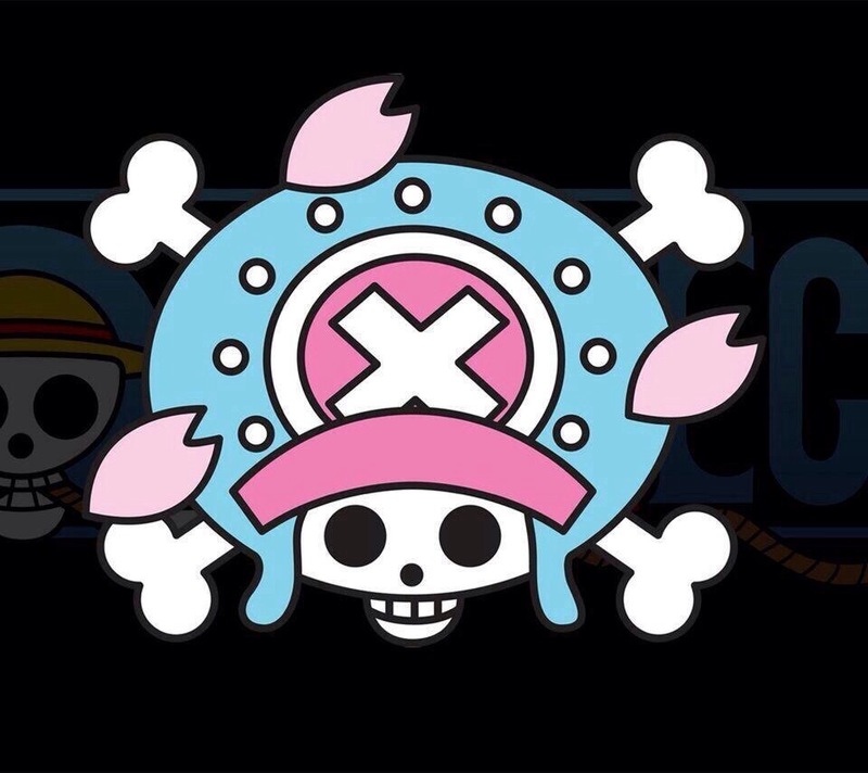海贼王船员骷髅标志长图哦 具有收藏意义 还可以做头像